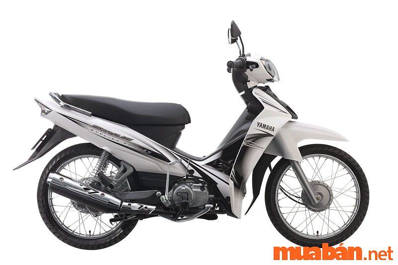 Xe tay ga cho người cao 1m50